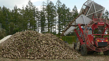 f:id:cannon:20071014232745j:image:w240