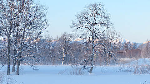 f:id:cannon:20120131010132j:image:w240