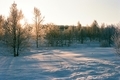 20190202222525