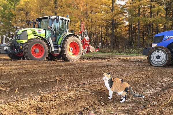 f:id:cannon:20201101133304j:plain