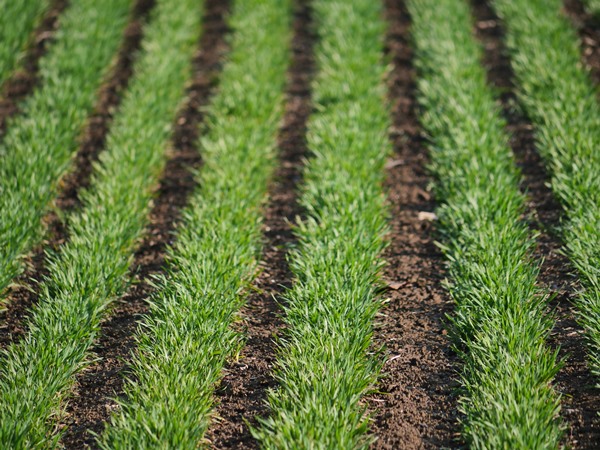 f:id:cannon:20210421064813j:plain