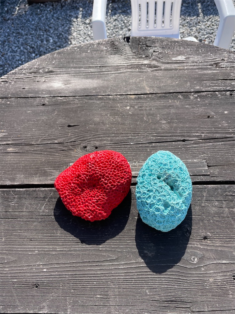 f:id:canoca:20250813215411j:image