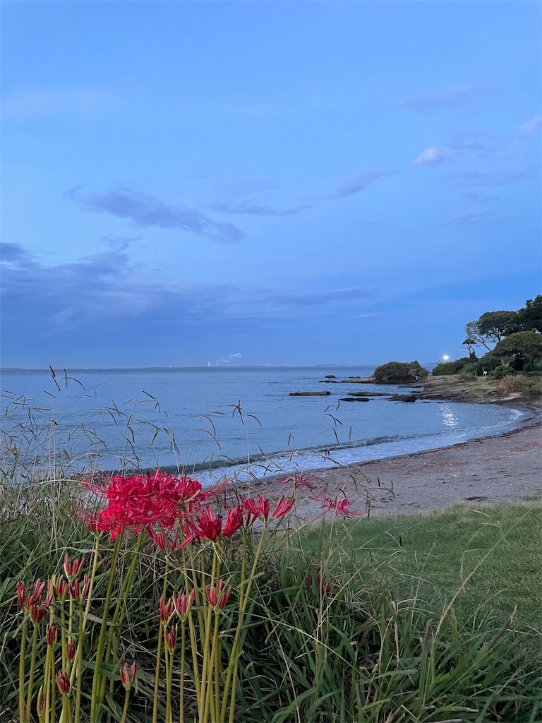 f:id:canoca:20250821085535j:image f:id:canoca:20250821085535j:image