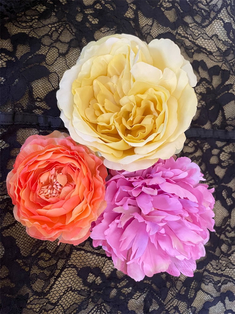 f:id:canoca:20250917222949j:image