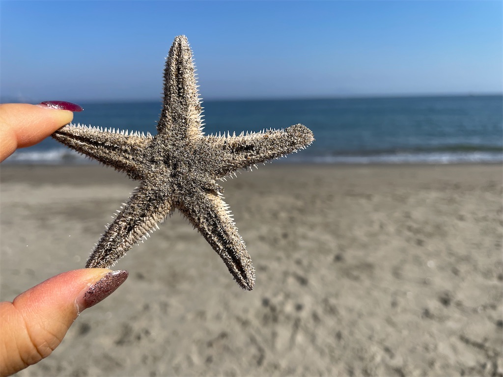 f:id:canoca:20251018060222j:image f:id:canoca:20251018060222j:image