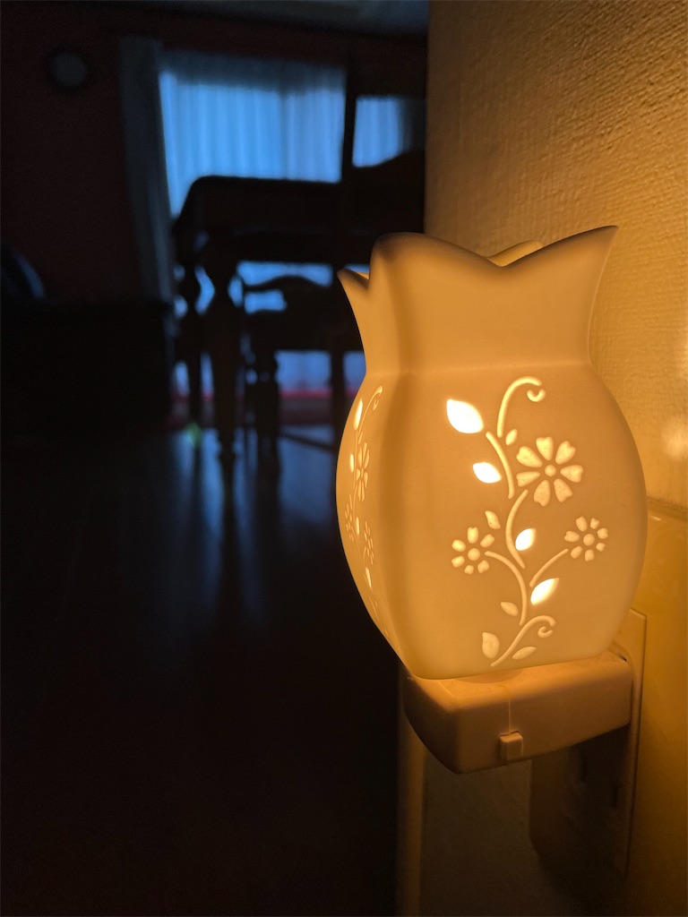 f:id:canoca:20251104102248j:image f:id:canoca:20251104102248j:image