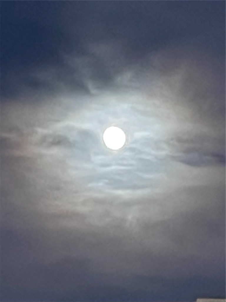 f:id:canoca:20251104102536j:image f:id:canoca:20251104102536j:image