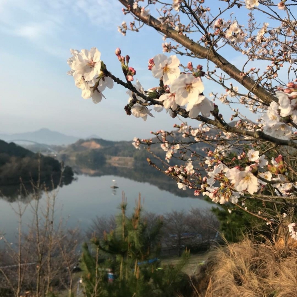 f:id:canoe-home-2018:20180707122851j:plain