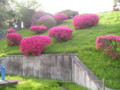 和田堀給水場-世田谷区大原
