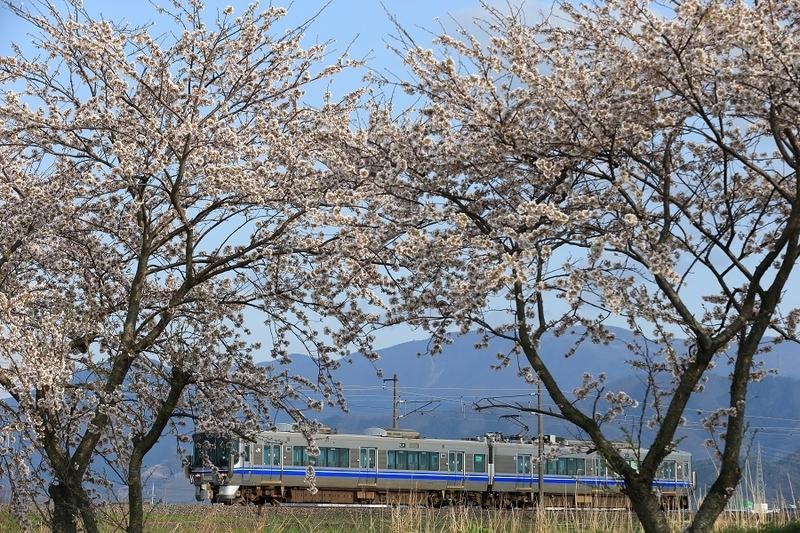 イメージ 11