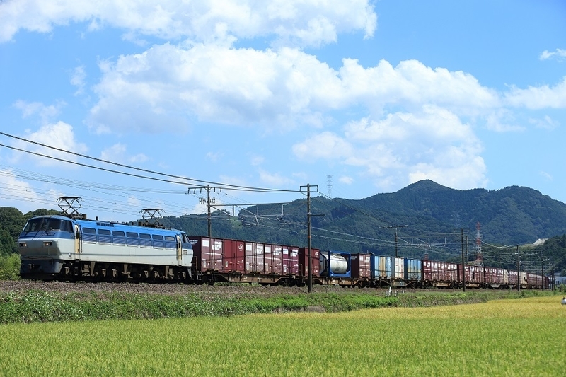 イメージ 3