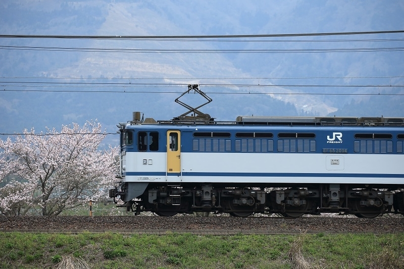 イメージ 1
