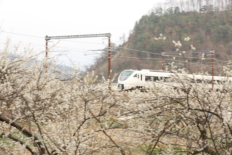 イメージ 5