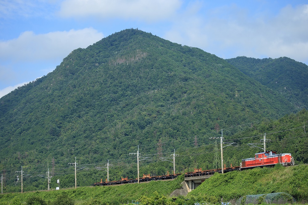 f:id:canon1dx:20200625074453j:plain f:id:canon1dx:20200625074453j:plain