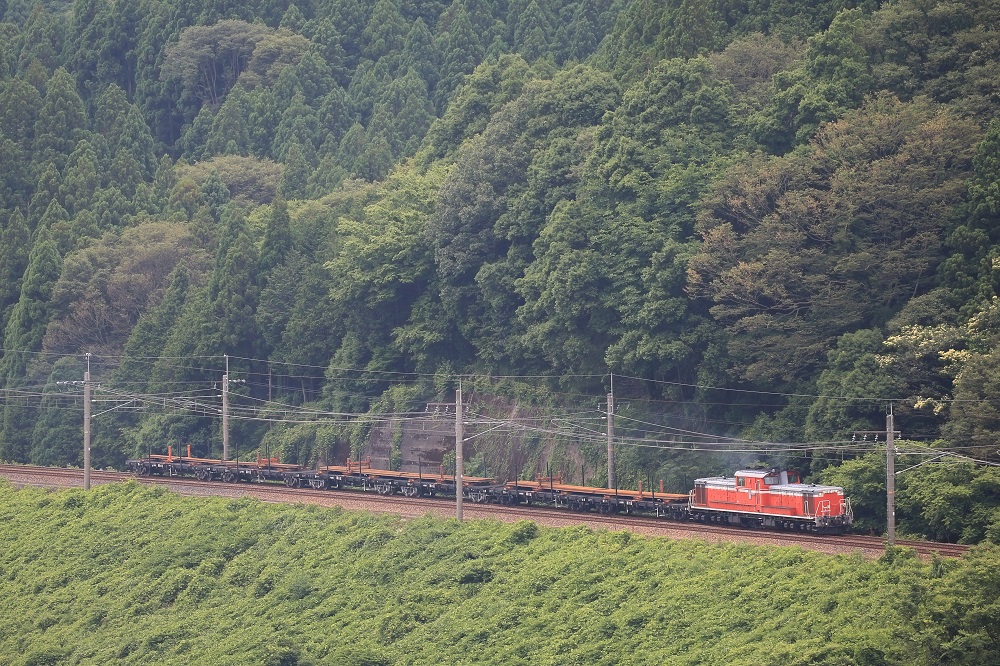 f:id:canon1dx:20200625074854j:plain f:id:canon1dx:20200625074854j:plain
