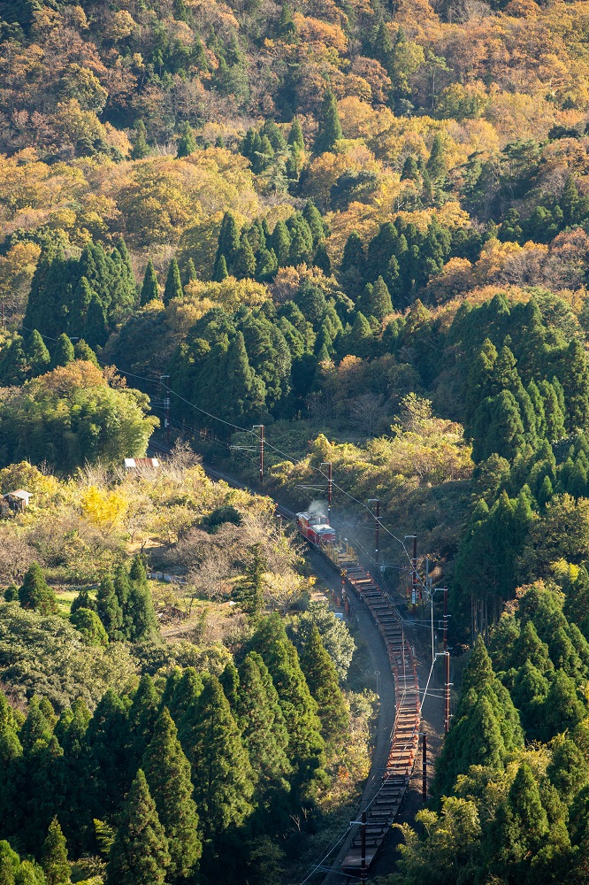f:id:canon1dx:20210106204251j:plain
