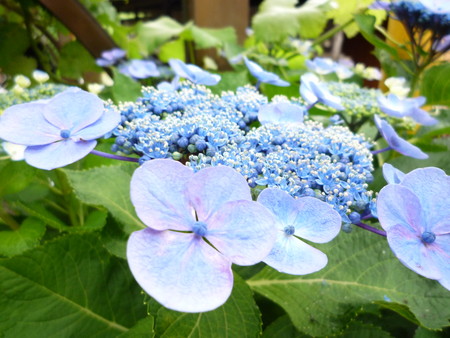 f:id:canone:20080615173347j:image