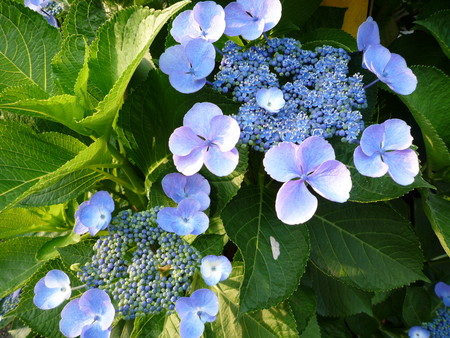 f:id:canone:20080616172607j:image