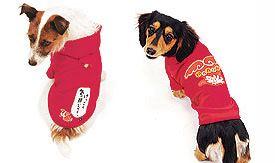 フード付きパーカータイプ Mサイズ（左）／フードなしTシャツタイプ �