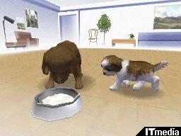 選べる3つのパッケージと15の犬種――「nintendogs」で幸せな生活をはじ�