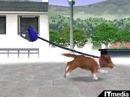 選べる3つのパッケージと15の犬種――「nintendogs」で幸せな生活をはじ�