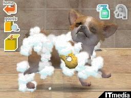 選べる3つのパッケージと15の犬種――「nintendogs」で幸せな生活をはじ�
