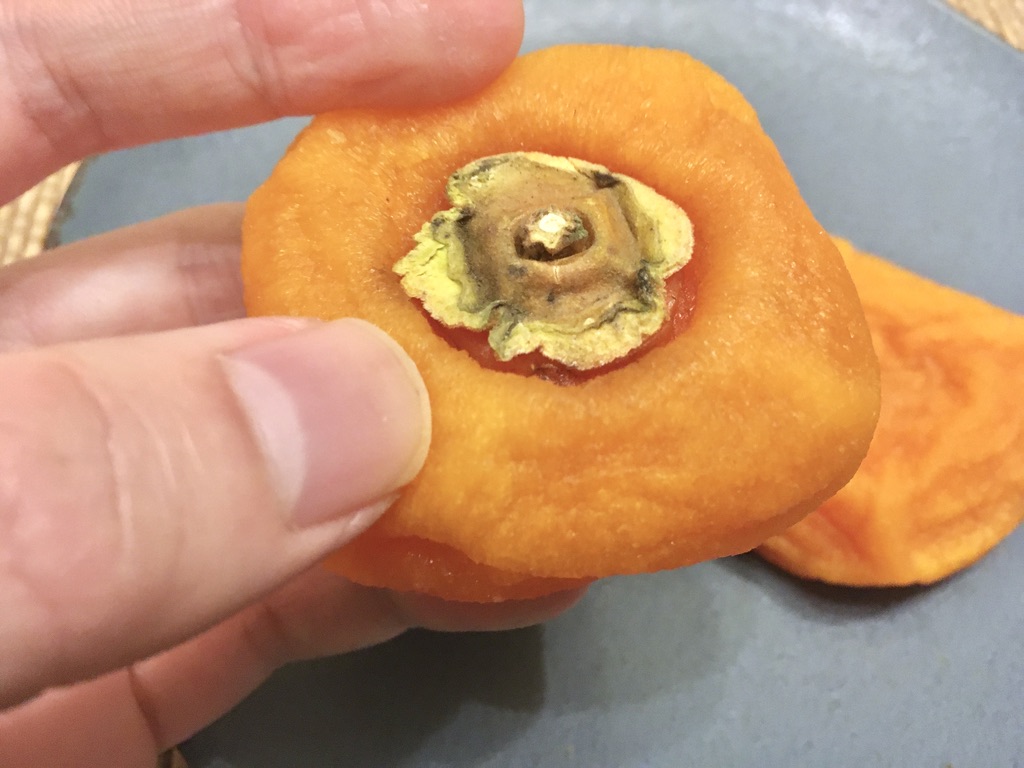 f:id:canteenofvodka:20201213202347j:plain