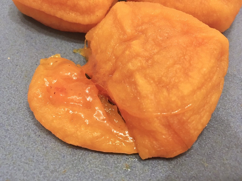 f:id:canteenofvodka:20201213203207j:plain