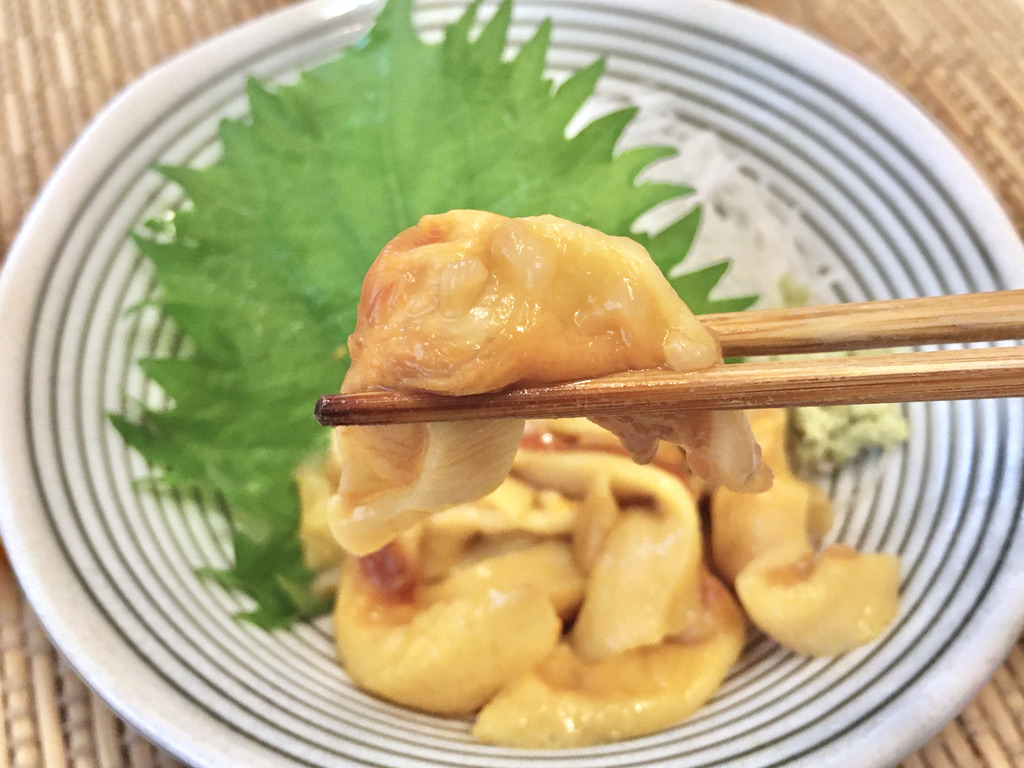 ホヤとは 動植物の人気 最新記事を集めました はてな