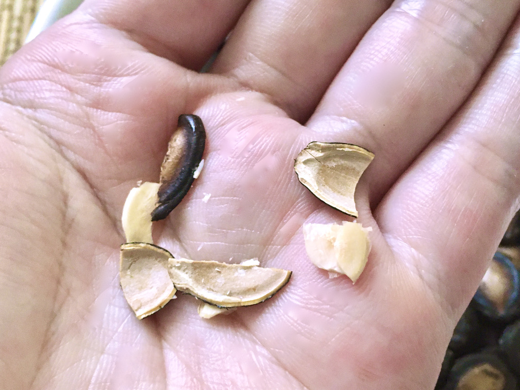 f:id:canteenofvodka:20210810231723j:plain