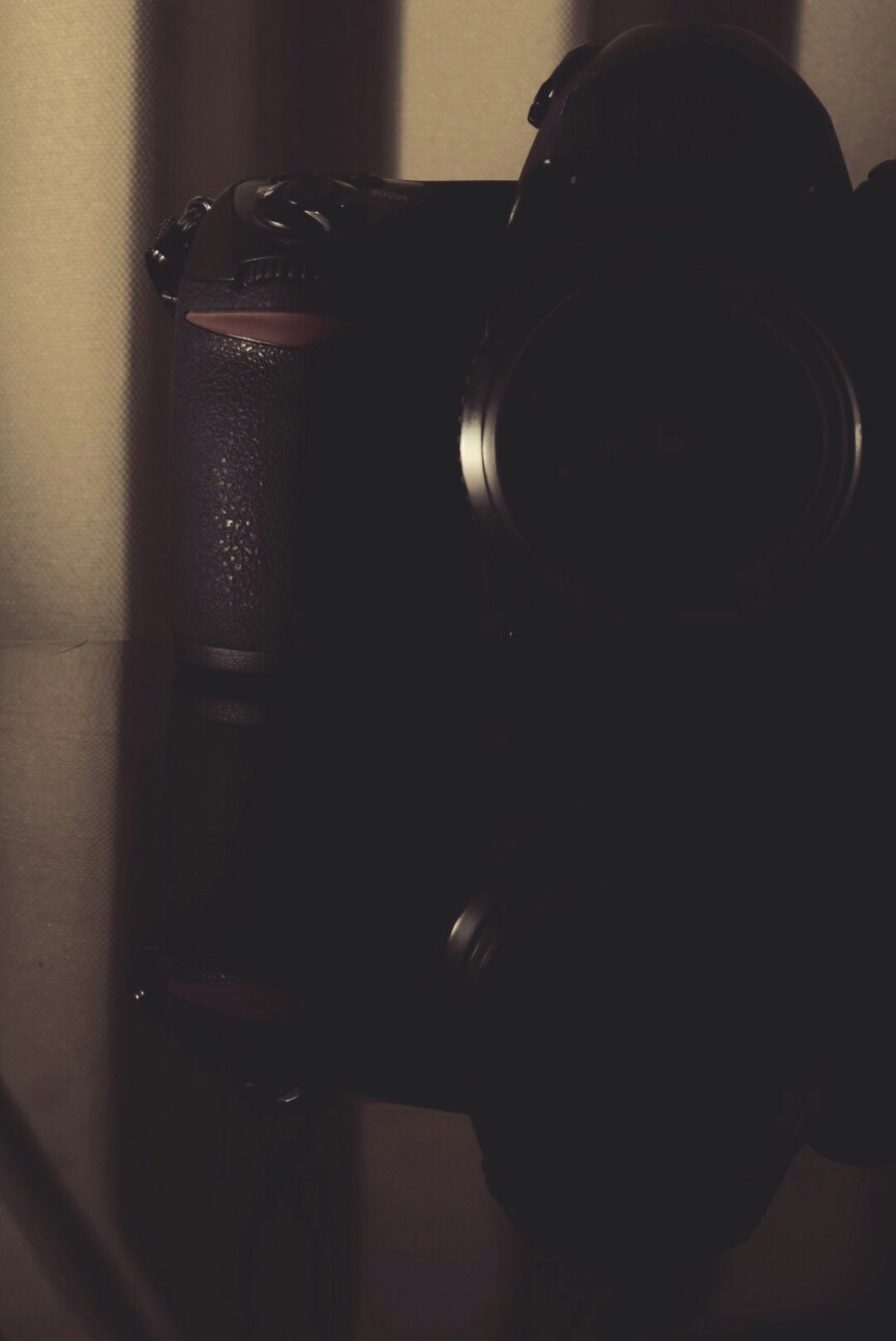 私のニコン遍歴～F6購入記～ - ニコノスの写真日記