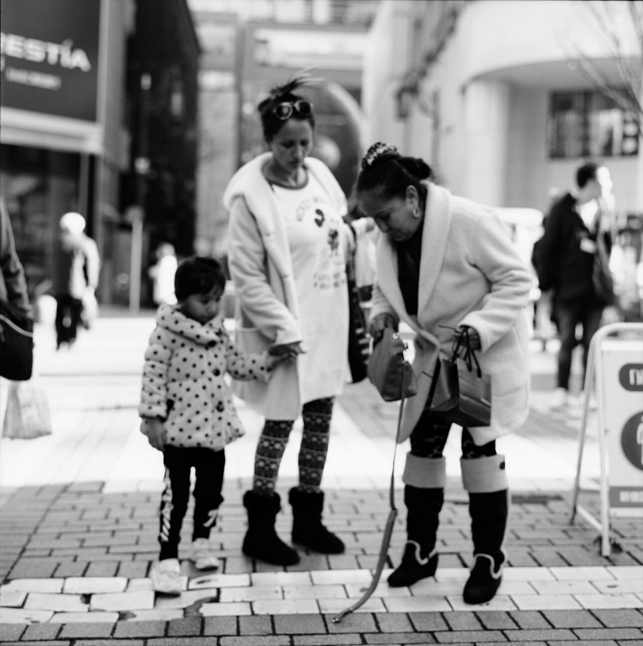 ニコノスの写真日記