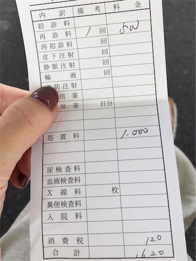 f:id:cao0c0:20190824211434j:image f:id:cao0c0:20190824211434j:image