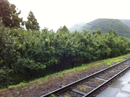 f:id:caocao:20120916172039j:image:w250