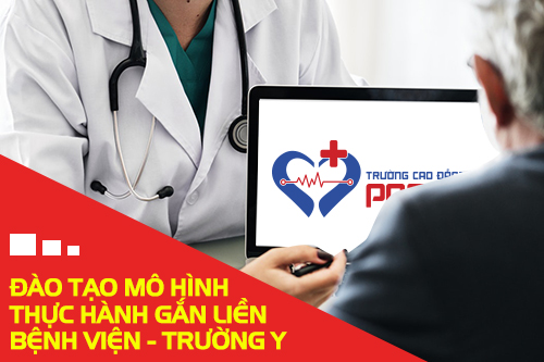 f:id:caodangyte:20181222113247j:plain