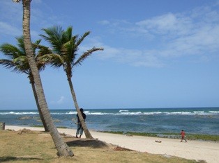 f:id:caolin:20081004011153j:image
