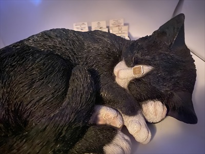 f:id:cap18:20191120094334j:plain