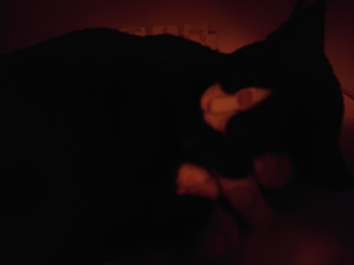 f:id:cap18:20191120094800j:plain