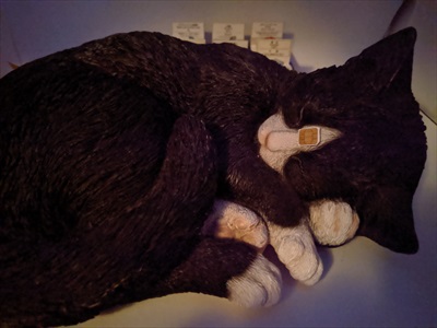 f:id:cap18:20191120095120j:plain