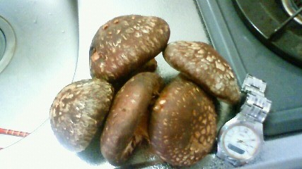 f:id:cap8326:20100418150900j:image f:id:cap8326:20100418150900j:image