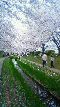 f:id:cap8326:20110410130100j:image