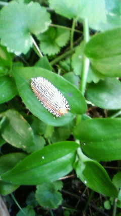 f:id:cap8326:20111009165200j:image f:id:cap8326:20111009165200j:image