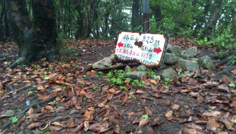 f:id:cap8326:20130630110538j:image:w640 f:id:cap8326:20130630110538j:image:w640