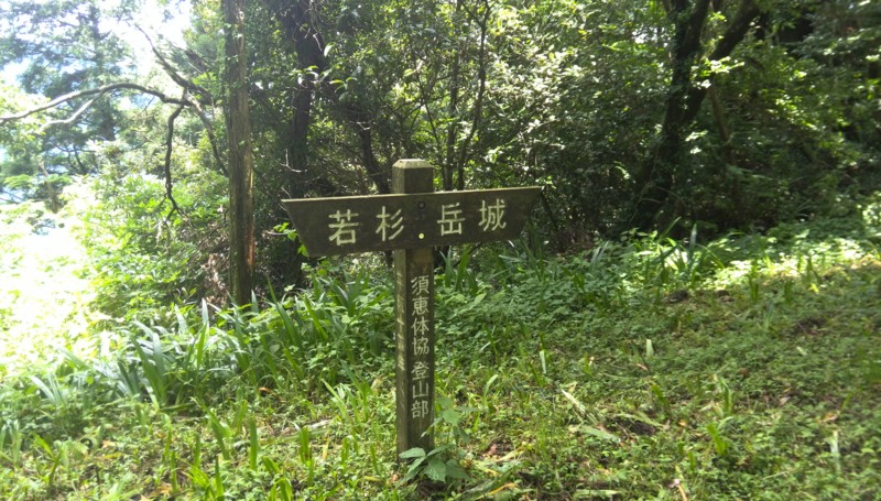 f:id:cap8326:20130630132304j:image:w640