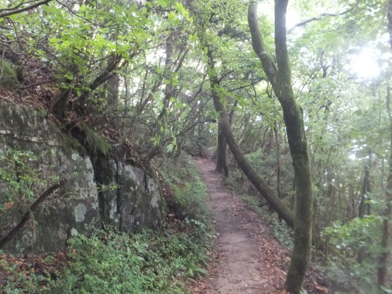 f:id:cap8326:20130701210443j:image:w640 f:id:cap8326:20130701210443j:image:w640