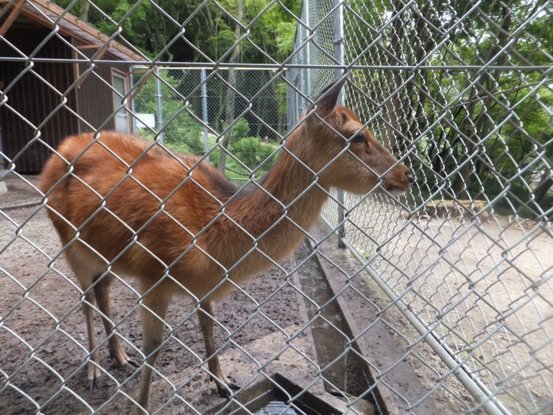 f:id:cap8326:20130701210452j:image:w640 f:id:cap8326:20130701210452j:image:w640