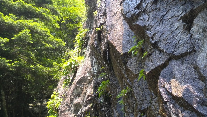 f:id:cap8326:20140524125912j:image:w640