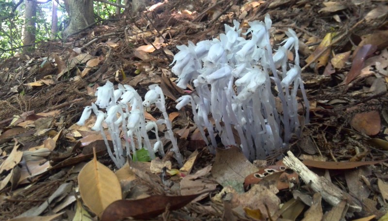 f:id:cap8326:20140525103316j:image:w640