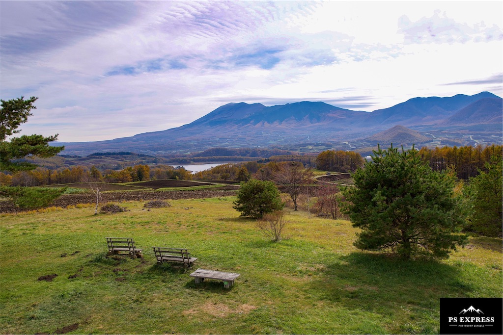f:id:cap_america:20191104193550j:image f:id:cap_america:20191104193550j:image