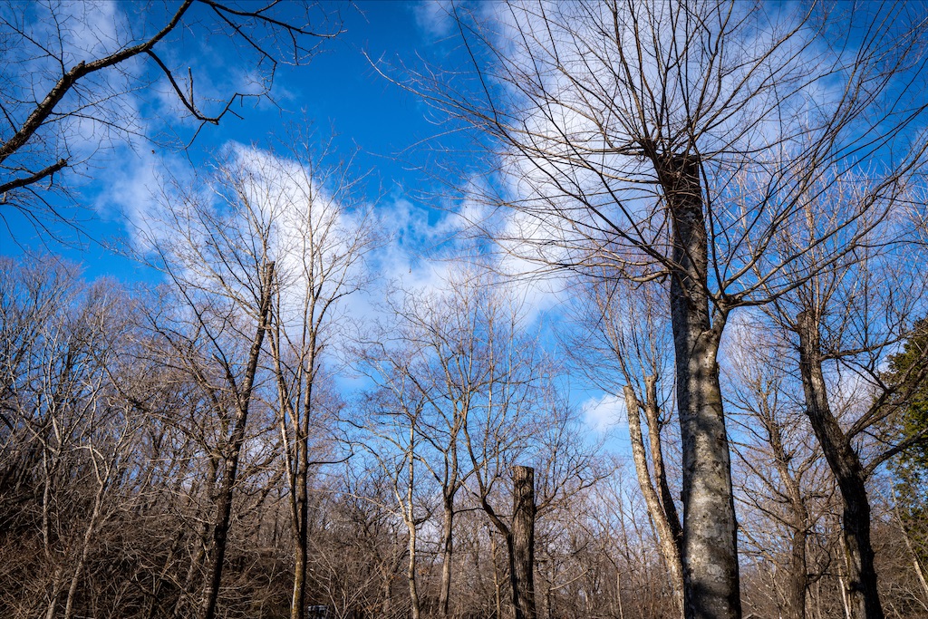 f:id:cap_america:20200101205650j:image f:id:cap_america:20200101205650j:image